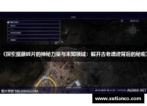 《探索魔藤碎片的神秘力量与未知领域：解开古老遗迹背后的秘密》